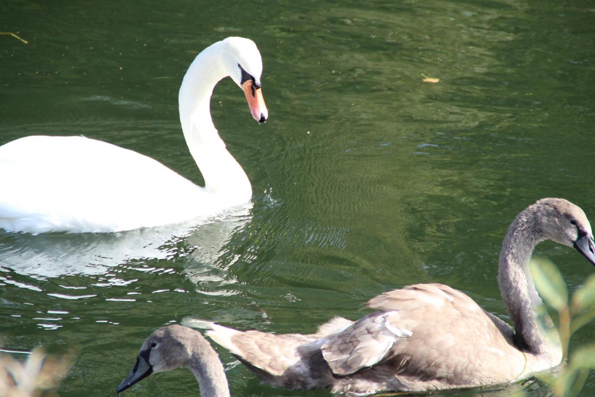 Sealov Hebergements Insolites- Linge, Menage Et Velos Inclus Eaucourt-sur-Somme Rum bild